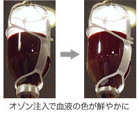 写真:血液クレンジング前と後の血液の比較